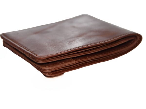 Passport and Ticket Wallet for Travelers passport and ticket wallet for safe travels