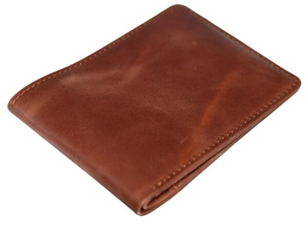 Travel Wallet for Passport and Documents travel document wallet with passport holder